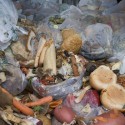 Food-waste-is-unnecessary